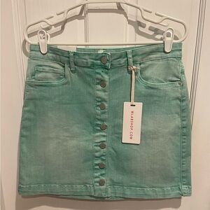 Wash Lab Mint Green Mini Denim Skirt Size 29 Y2K